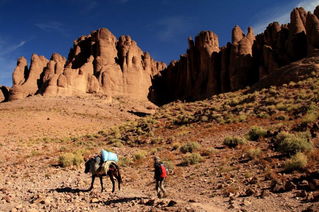 https://www.morocco-explorer.com/project/trek-in-jebel-saghro-7-days-trekking-in-morocco/?et_fb=1&PageSpeed=off